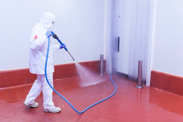 Best Sidewalk and Walkway Cleaning  in China Lake Acres, CA